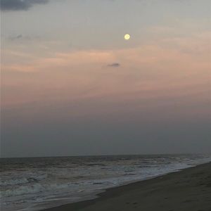 Meet your Posher, Eliza